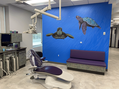 Dentist Friendswood - Dentistry 4 Children, Bay Area Dental Specialists.