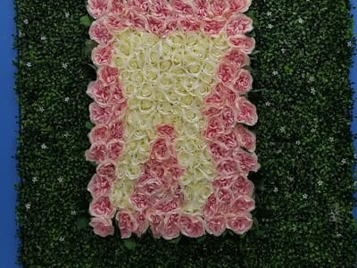 Dentist of Miami and Orthodontics