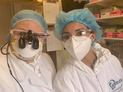 Dentist West Harwich - Dental Arts Studio of Cape Cod