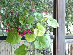 Dentistry at Marysville - Implant, Cosmetic, and Family Dentistry