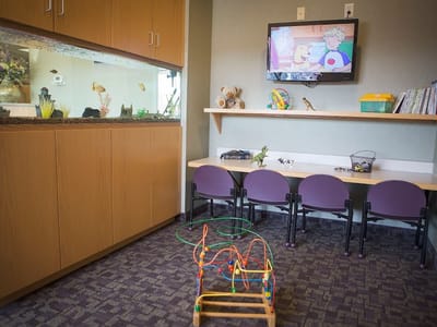 Dentistry at the Center