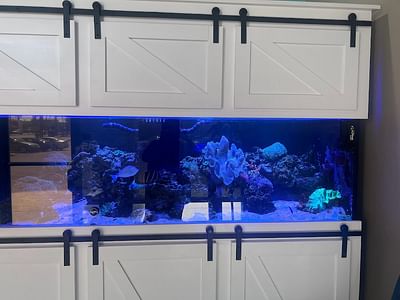 Dentistry for Families - North Las Vegas Dentist - Dr Zachary Soard