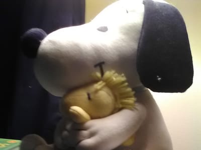 Dentistry of the Carolinas - Monroe