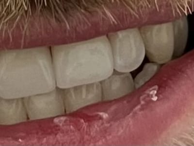 Dentists of Flagstaff