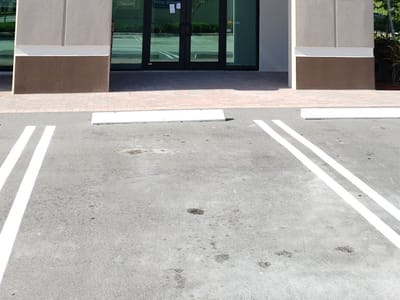 Dentists of Royal Palm