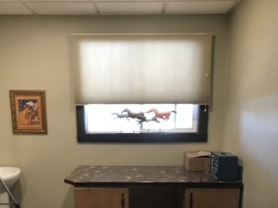 Dentures & Dental Care of Lander