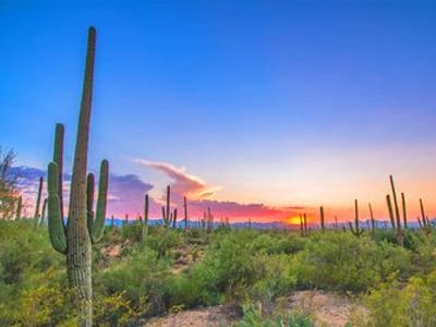 Desert Springs Family Dentistry