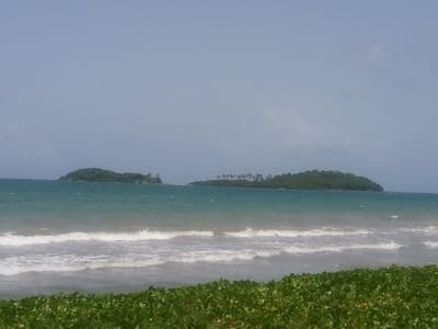 Designing Smiles San Francisco