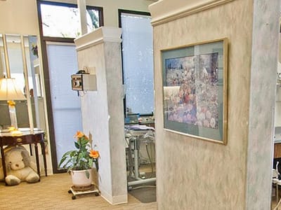 Diablo Valley Dentistry: Dr. Skeie-Alameddine