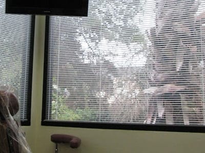 Diablo Valley Dentistry: Dr. Skeie-Alameddine