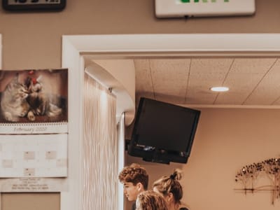 DiGrazia Dentistry | Dr. John DiGrazia, DDS