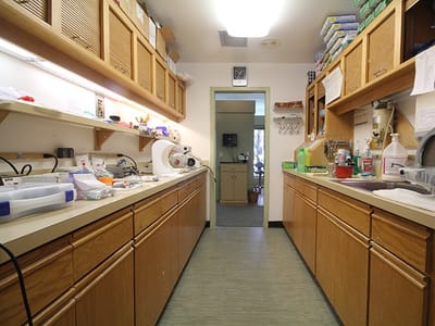 Distinctive Dentistry on Maitland