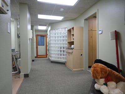 Distinctive Dentistry on Maitland