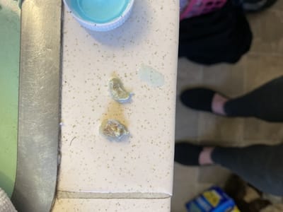 Divine Dental of Santa Fe