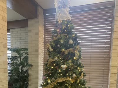 Dolive DDS Family & Cosmetic Dentistry