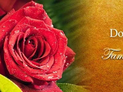 Douglas M Johnson DMD