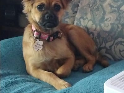 Dover Family Dentistry - Dentist in Mountain Home AR