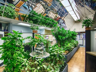 Downtown Dental Care