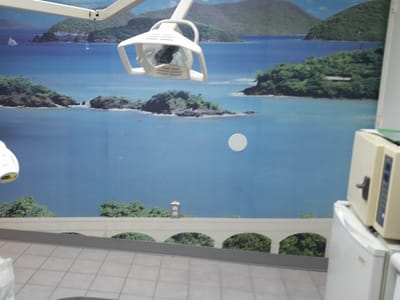 Dr Alida Brscic-Biasi, DDS