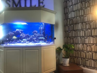 Dr Amy Do Family Dentistry