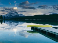 Dr. Andrew Ross, D.D.S.