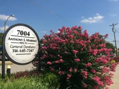 Dr. Anthony J. Marino DDS