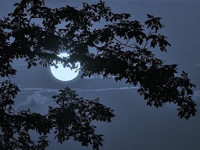 Dr. Armen Mirzayan, DDS