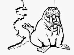 Dr. Babula & Dr. Woller Orthodontists