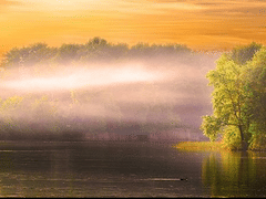 Dr. Bradley K. Stewart, DDS