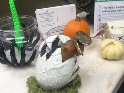 Dr. Choon S. Park, DMD