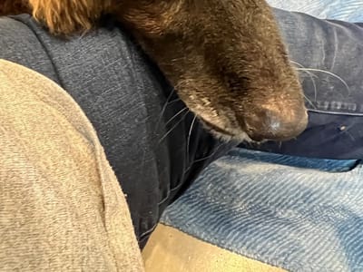 Dr. Dale Belnap, D.D.S.: Colleyville Dentistry