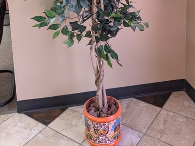 Dr Dyer Family Dental