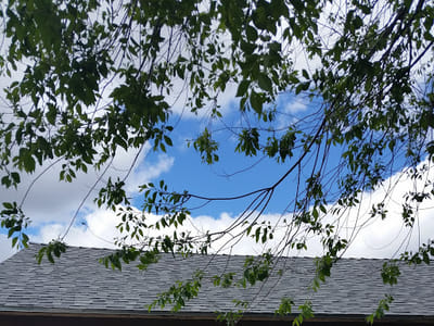 Dr. Edward S. Fass, DDS