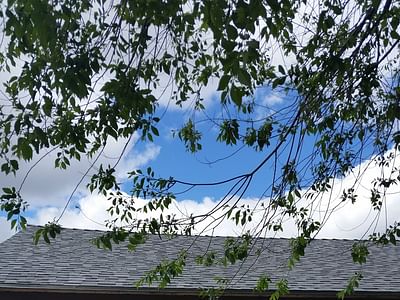 Dr. Edward S. Fass, DDS