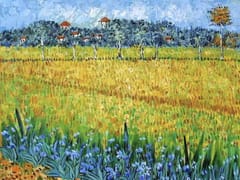 Dr. Fernando Oliver - Dentista