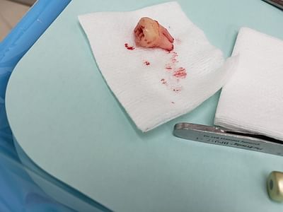 Dr. Gettas Family Dental and Orthodontics