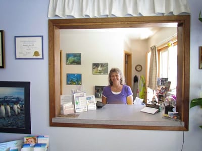 Dr. Hein Family Dentist