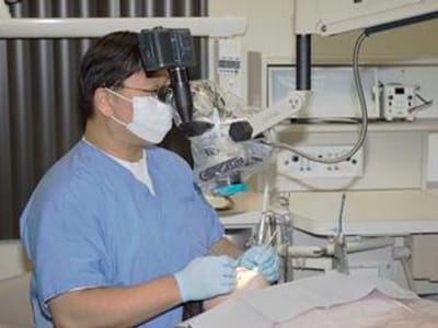 Dr. James S. Kim, DDS