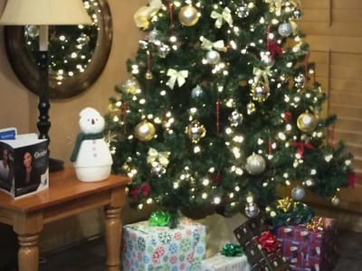 Dr. John M. Purdy D.D.S., El Paso Dentist : McRae Office