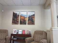 Dr. Judy K. Villanyi, DMD