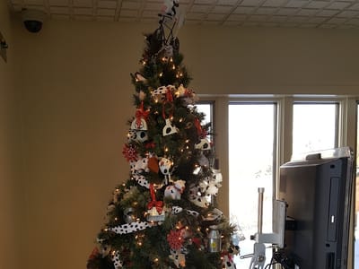 Dr. Marc E. Olsen, DDS