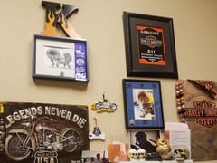 Dr. Patricia E. Romano DDS