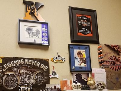 Dr. Patricia E. Romano DDS