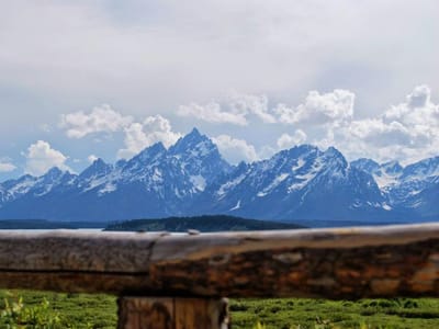 Dr. Rodney C Hill D.D.S., P.C.