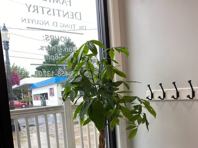 Dr. Tung D Nguyen, DDS