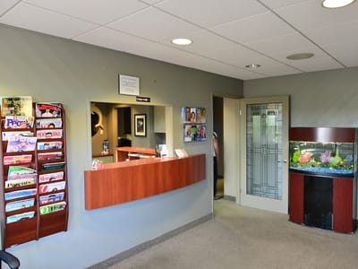 Dr. Vivian Cheng, Dentist in Milpitas