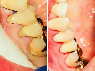 East Wind Dental Care