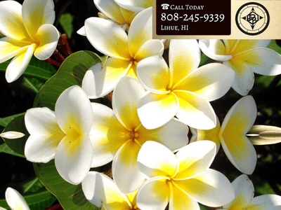 Emerald Island Oral Facial Surgery, Inc.: David Russell, DMD