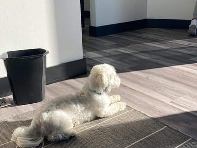 Enumclaw Dental Center