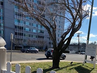 Esthetique Dentistry